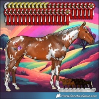 Horse Color:White Spotted Silver Bay 