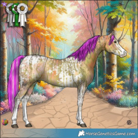 Horse Color:Painted Watercolor Chocolate Palomino Splash  and Painted Nacre Palomino Splash Tobiano 