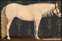 Horse Color:Gold Champagne  and Gold Champagne 