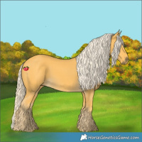 Horse Color:Palomino