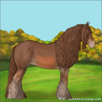 Horse Color:Chestnut Varnish 