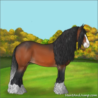 Horse Color:Brown Splash 