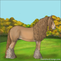 Horse Color:Chestnut Sabino 