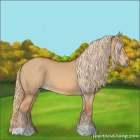Horse Color:Red Dun Tobiano