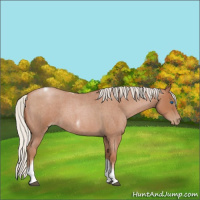 Horse Color:Silver Blue Roan Pearl Tobiano Frame 