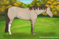 Horse Color:Classic Champagne Dun 