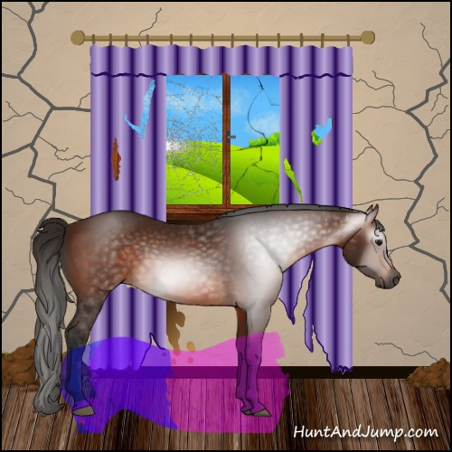 Horse Color:Gray Bay 