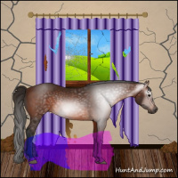 Horse Color:Gray Bay 