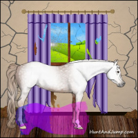 Horse Color:Gray Chestnut 