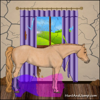 Horse Color:Red Roan 