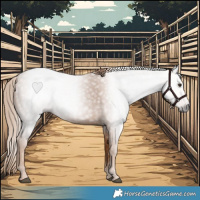 Horse Color:Gray Chestnut 
