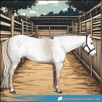 Horse Color:Gray Chestnut 