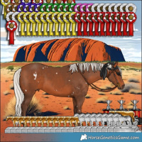 Horse Color:White Spotted Silver Brown