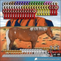 Horse Color:White Spotted Silver Brown 
