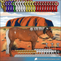 Horse Color:White Spotted Silver Brown