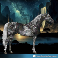 Horse Color:Gray Platinum White Spotted Midnight Liver Red Dun Ice Mushroom Tobiano Brindle 