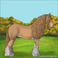 Horse Color:Chestnut Tobiano 