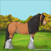Horse Color:Bay Tobiano