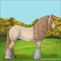 Horse Color:Red Dun Tobiano 