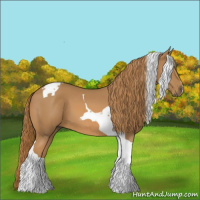 Horse Color:Chestnut Tobiano