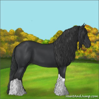 Horse Color:Black Tobiano