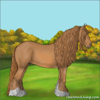 Horse Color:Chestnut Tobiano 