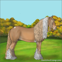 Horse Color:Chestnut Tobiano