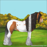 Horse Color:Bay Tobiano