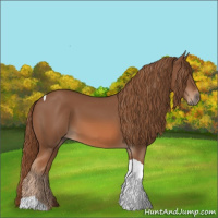 Horse Color:Chestnut Tobiano