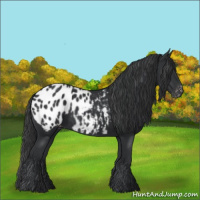Horse Color:Black Blanket
