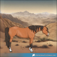 Horse Color:Bay Rabicano