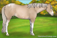 Horse Color:Chocolate Palomino Pearl Tobiano Frame and Chocolate Palomino Pearl Splash Tobiano Frame