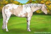 Horse Color:Chocolate Palomino Pearl Tobiano Frame  and Palomino Pearl Tobiano Frame 