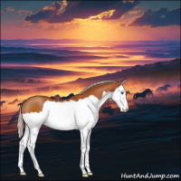 Horse Color:Silver Bay Splash 