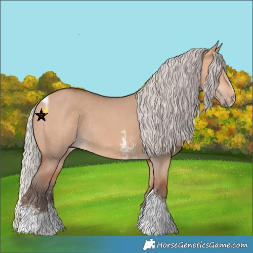 Horse Color:Silver Bay Dun Mushroom Sabino Tobiano Rabicano 