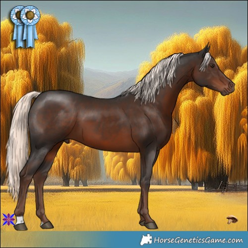 Horse Color:Liver Chestnut Mushroom 