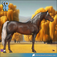 Horse Color:Liver Chestnut Mushroom 