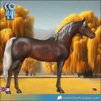 Horse Color:Liver Chestnut Mushroom 