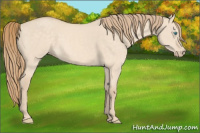 Horse Color:Perlino Dun 