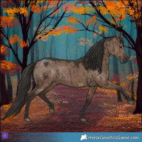 Horse Color:Liver Red Dun Brindle 