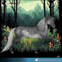 Horse Color:Silver Black Chinchilla 