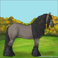 Horse Color:Grullo 