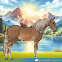 Horse Color:Chocolate Palomino
