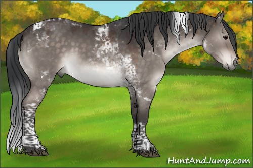 Horse Color:Brown Dun Mushroom Tobiano 