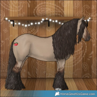 Horse Color:Liver Red Dun 