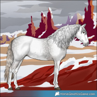 Horse Color:Gray White Spotted Liver Chestnut 