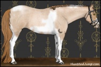 Horse Color:Red Roan Pearl Tobiano Frame 
