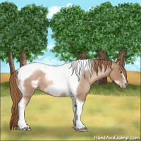 Horse Color:Liver Red Roan Pearl Tobiano Frame