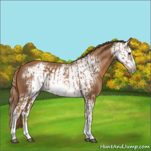 Horse Color:Chestnut Splash Frame  and Chestnut Splash Frame 