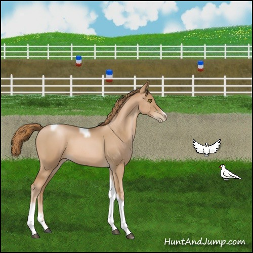 Horse Color:Red Roan Pearl Tobiano Frame 